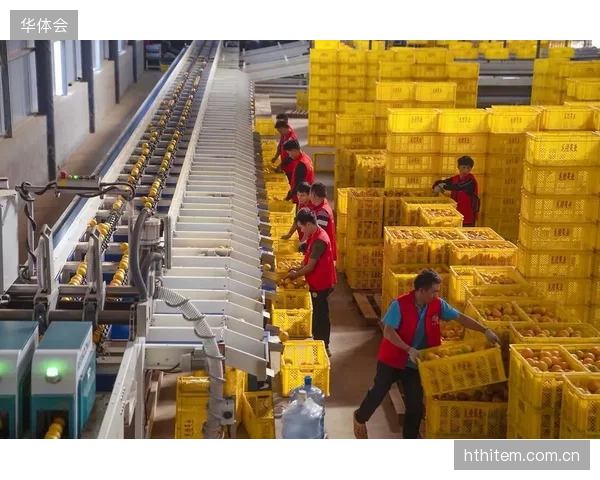 本季度 供应网络重构体育服务供应链 减少中间冗余环节